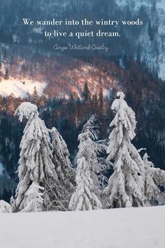 a man riding skis on top of a snow covered slope next to evergreen trees