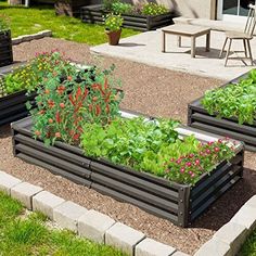 several raised garden beds with plants growing in them