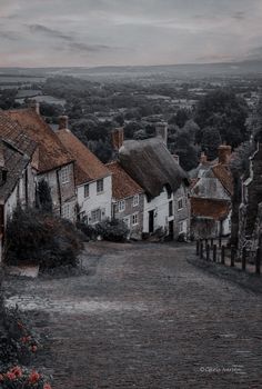 an image of a street with houses in the background