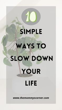 a potted plant with the words 10 simple ways to slow down your life