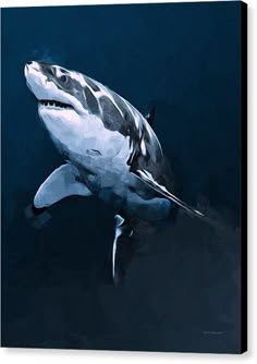 a painting of a shark swimming in the water