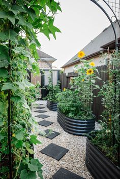 a garden with lots of plants growing in it