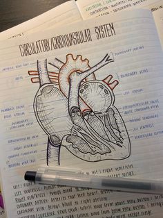 an open book with a diagram of the human heart on it and a pen next to it