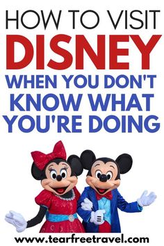 two mickey and minnie mouses with the text how to visit disney when you don't know what you're doing