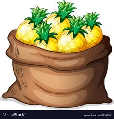 a sack full of pineapples on a white background