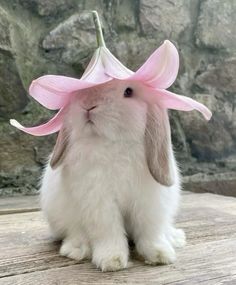 a rabbit with a pink flower on its head