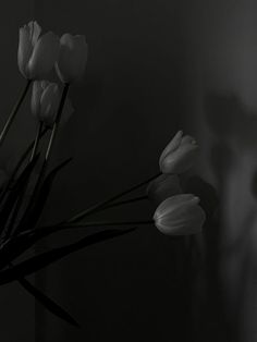 some white tulips are in a black and white photo with a woman's face behind them