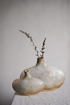 two vases with plants in them sitting on a white tableclothed surface against a gray wall