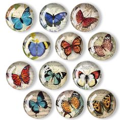 the butterflies are painted on glass plates