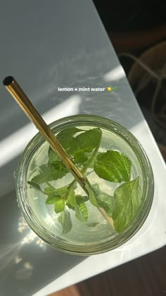 a glass filled with water and green leaves