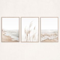 three pictures of the beach with waves and sand in them, hanging on a wall