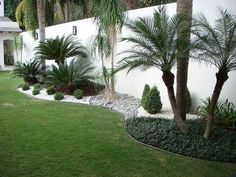 a white wall and some palm trees in a yard with green grass on the ground