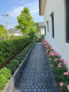 the walkway is lined with pink flowers and green bushes in front of a white house