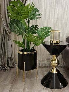 two black and gold vases with plants in them on a wooden floor next to a couch