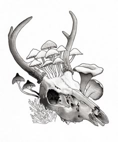 a drawing of a deer skull with mushrooms on it