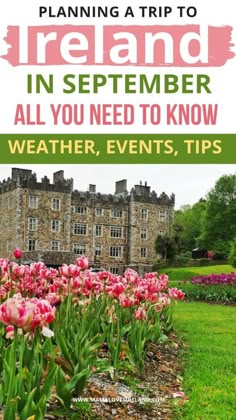 pink tulips in front of a castle with the words planning a trip to ireland in