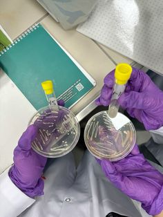 a person in purple gloves holding two test tubes with yellow caps on them and one tube filled with liquid