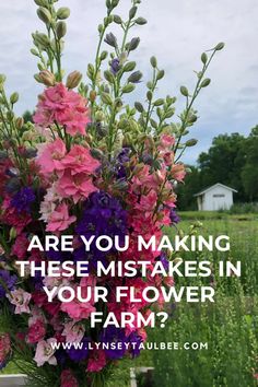 pink and purple flowers with the words are you making these mistakes in your flower farm?