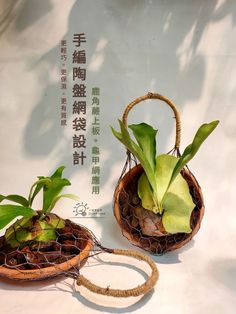 two baskets filled with plants sitting on top of a white table next to each other