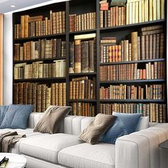 a living room filled with lots of books