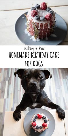 a dog is sitting in front of a cake with berries on it and the words homemade birthday cake for dogs