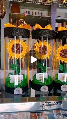 three sunflowers are in glass vases on display