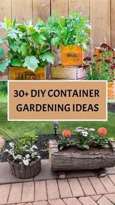 30+ DIY Container Gardening Ideas Container Garden Design Layout, Patio Container Gardening Ideas, Potted Garden Ideas, Pot Garden Ideas, Raised Container Garden, Gardening Containers, Patio Container Gardening, Diy Container, Container Gardening Ideas