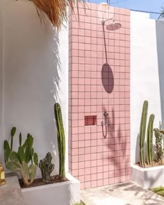 a pink tiled shower with cactus plants in the foreground and a white wall behind it