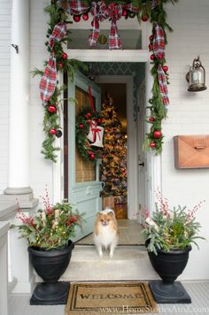 a dog standing in front of a door with christmas decorations