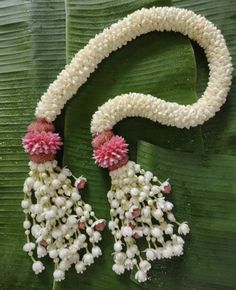 two white and pink flowers are attached to the stems of a large plant with green leaves in the background