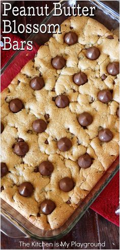 Top view of a pan of Peanut Butter Blossom Bars Cookie Recipes Peanut Butter, Recipes Peanut Butter, The Kitchen Is My Playground, I Lost 100 Pounds, Peanut Butter Blossom, Bars Dessert, Amazing Cookie Recipes, Dessert Aux Fruits