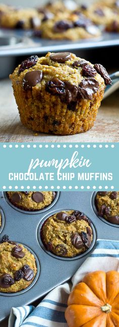 pumpkin chocolate chip muffins in a muffin tin with the title overlay