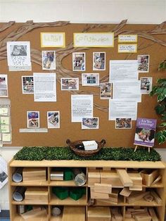 a bulletin board with lots of pictures on it and moss growing in the bottom shelf