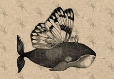 a drawing of a whale with a butterfly on its back