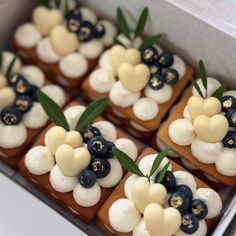 small desserts in a box with blueberries and cream cheese toppings on them