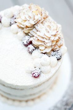 a white cake covered in powdered sugar and topped with pine cones