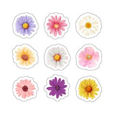 six flower stickers in different colors and sizes on a white background, each with an individual's own image