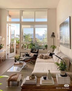 a living room filled with lots of furniture and plants on top of it's windows