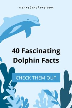 dolphins swimming in the ocean with text overlay reading 40 fascinating dolphin fact check them out