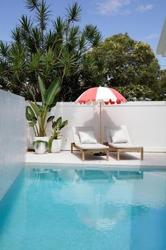 All white modern Hamptons style home with strelitzia plants in large white plant pots and sun loungers with a pastel Basil Bangs beach umbrella. Queenslander Architecture, Pool Plants, Hamptons Style Home, Pool Finishes, Pool Renovation, White Plants, Beautiful Patios