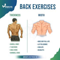 the back exercises for men are shown in this graphic above it is an image of how to