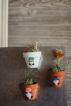 three potted plants are sitting on a table