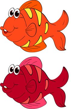 two red and yellow fish with big eyes, one is looking at the other side