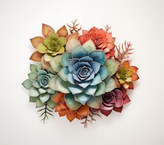 an arrangement of succulents and leaves on a white background