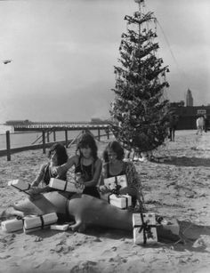 black and white photograph of three women sitting in front of a christmas tree on the beach