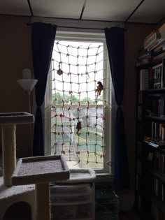 a cat tree in front of a window with a bird on it's net