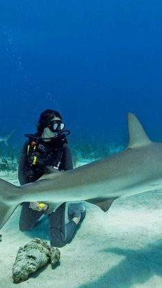 a person in scuba gear is taking a picture of a shark