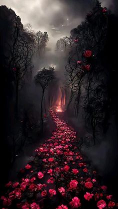 a dark forest filled with lots of red flowers