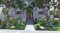 a house with trees and plants around it