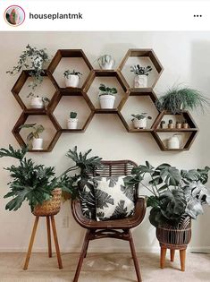 several potted plants are arranged on shelves above a wicker chair and side table